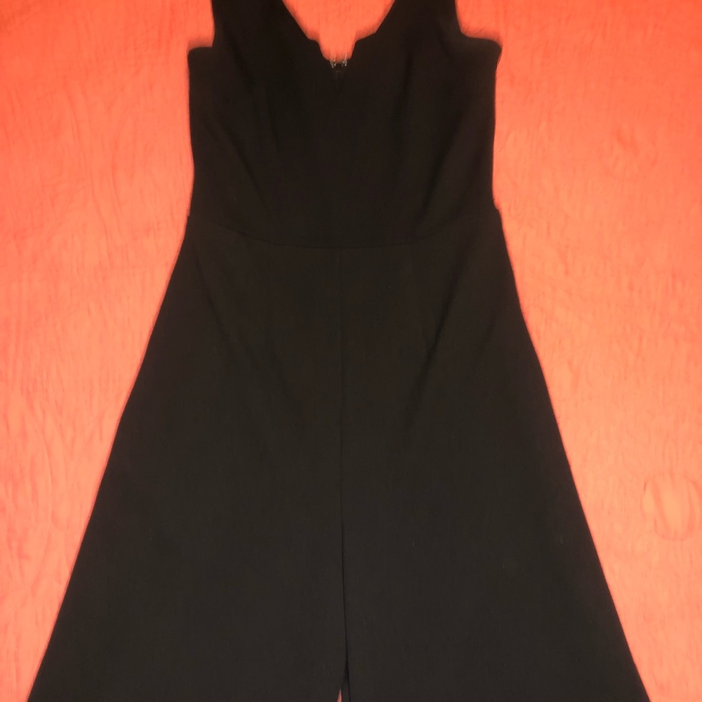 Very Flattering Black Jumpsuit from “Francesca’s